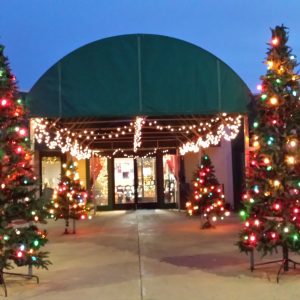 73081981_971606043203997_1461683795823427584_n